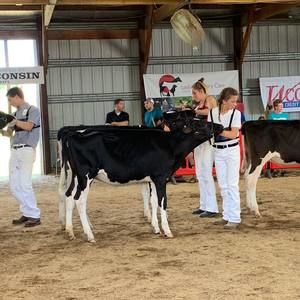 Meet your Posher, Addie